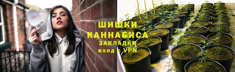 наркотики  Мензелинск  Бошки Шишки семена 